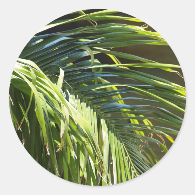Palm tree Fronds Runder Aufkleber (Vorderseite)