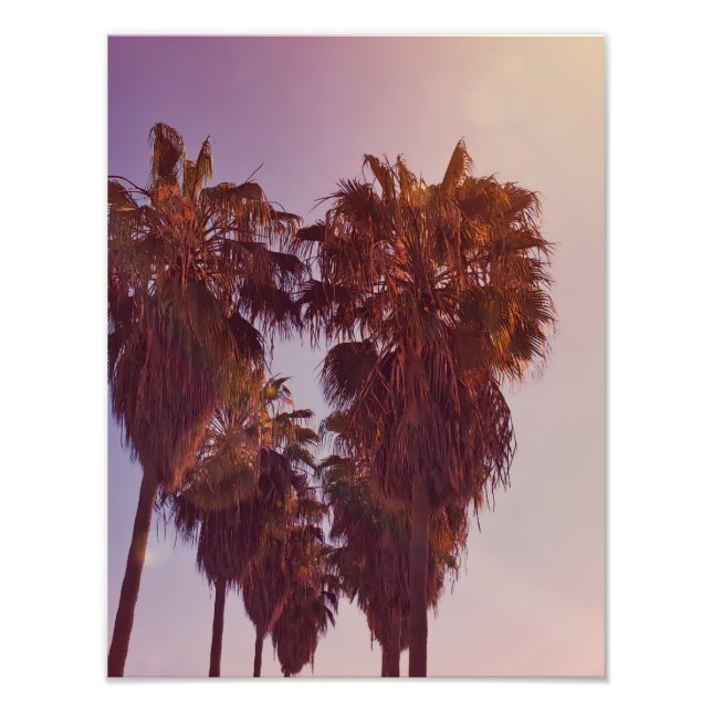 Palm Tree Heart Photo Fotodruck (Vorne)