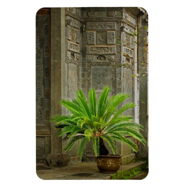 Palm Tree | Hongcun, China Magnet (Vertikal)
