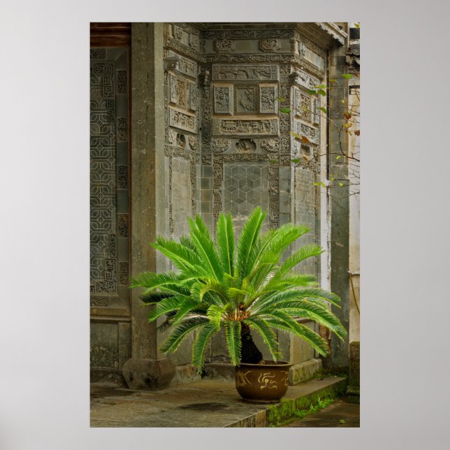 Palm Tree | Hongcun, China Poster (Vorne)