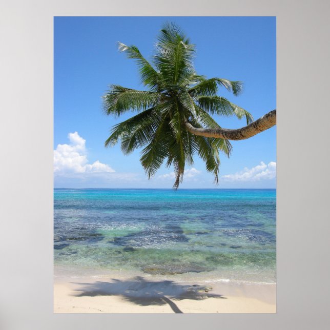 Palm Tree Island Poster (Vorne)