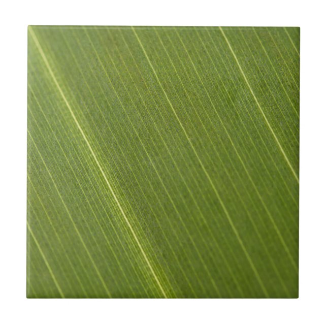 Palm Tree Leaf Fliese (Vorderseite)