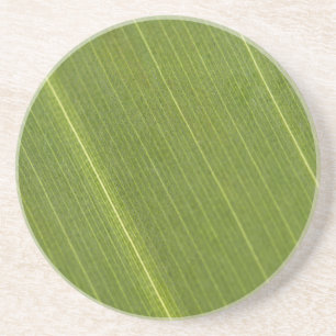 Palm Tree Leaf Getränkeuntersetzer