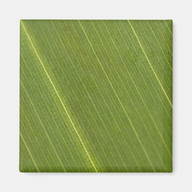Palm Tree Leaf Magnet (Vorne)
