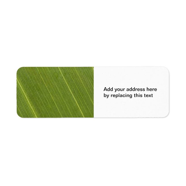Palm Tree Leaf Rücksendeadressen-Aufkleber (Vorne)