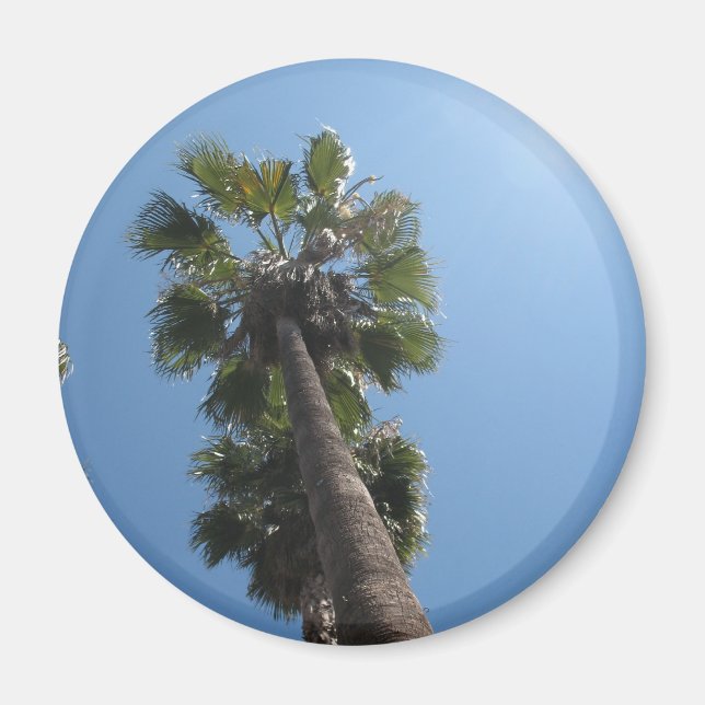 Palm Tree Magnet (Vorne)