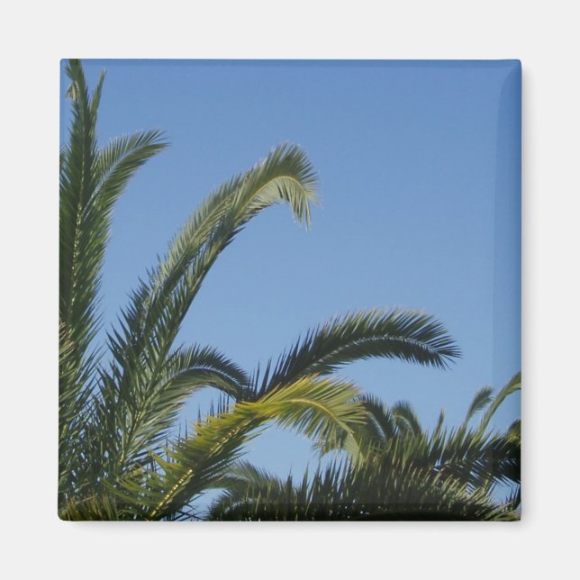 Palm Tree Magnet (Vorne)
