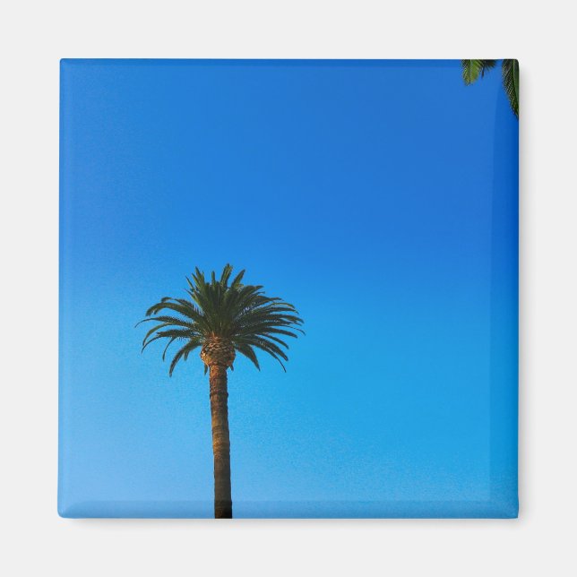 Palm Tree Magnet (Vorne)