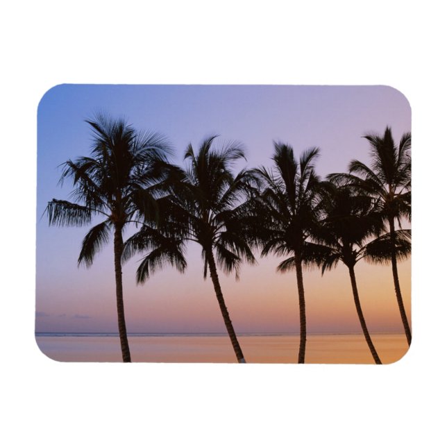 Palm tree magnet (Horizontal)