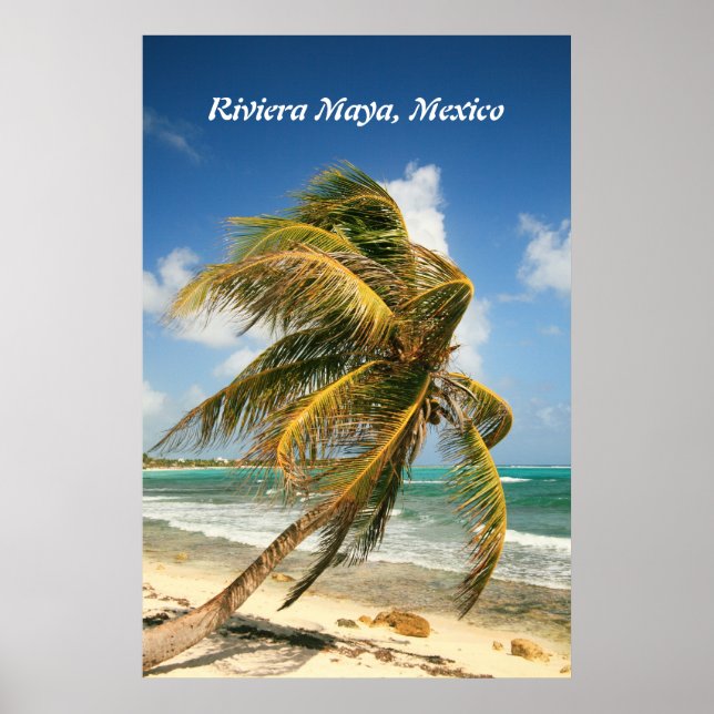 Palm Tree on the Riviera Maya, Mexico Poster (Vorne)