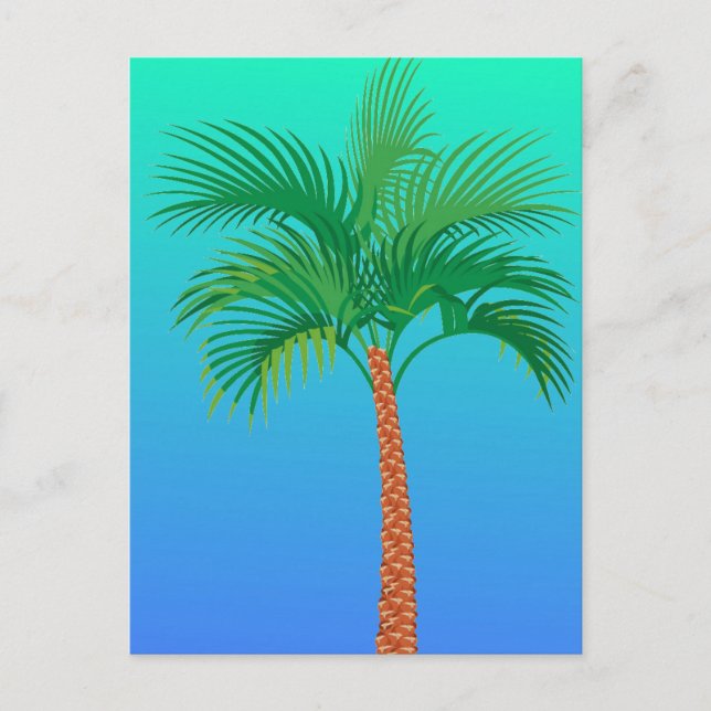 Palm Tree Postcard Postkarte (Vorderseite)