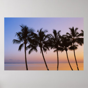 Palm tree poster