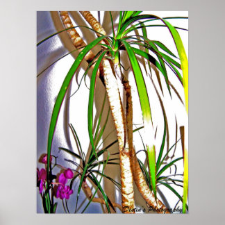 Palm Tree Poster