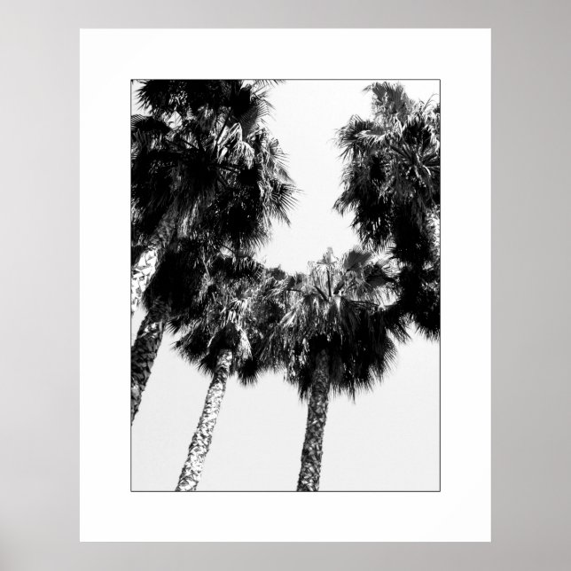 Palm Tree Poster (Vorne)