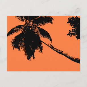Palm Tree Postkarte