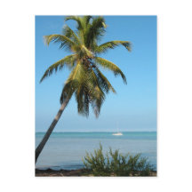 Palm Tree - Postkarte