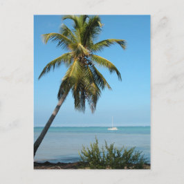 Palm Tree - Postkarte