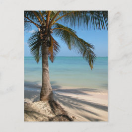 Palm Tree - Postkarte