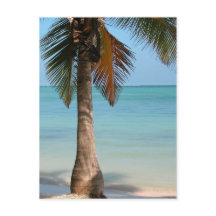 Palm Tree - Postkarte