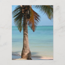 Palm Tree - Postkarte