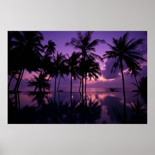 Palm Tree Reflection Poster (Vorne)