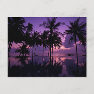 Palm Tree Reflection Postkarte
