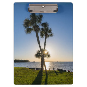 Palm Tree Scissors Silhouette Zwischenablage Klemmbrett