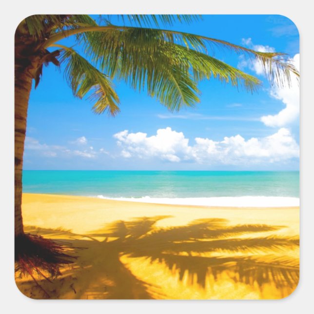 Palm Tree Shadows Quadratischer Aufkleber (Vorderseite)