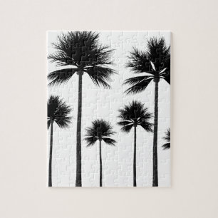 Palm Tree Silhouette