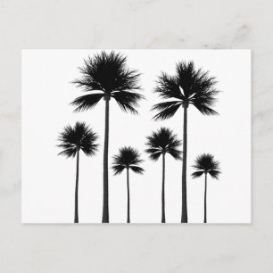 Palm Tree Silhouette Postkarte