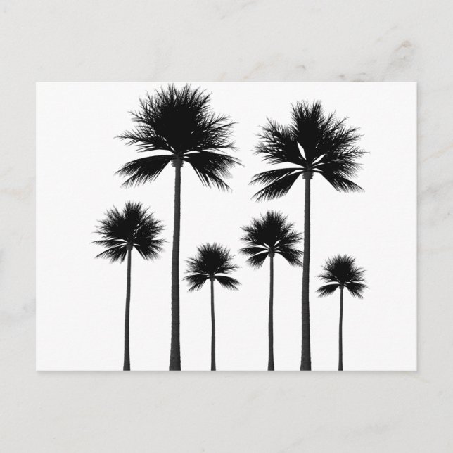 Palm Tree Silhouette Postkarte (Vorderseite)