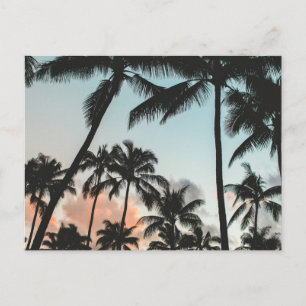 Palm Tree Silhouetten Postkarte