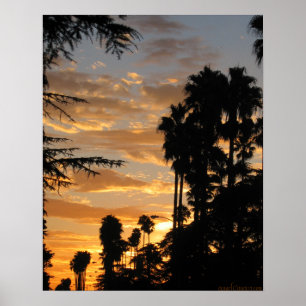 Palm Tree Sunset Los Angeles Poster