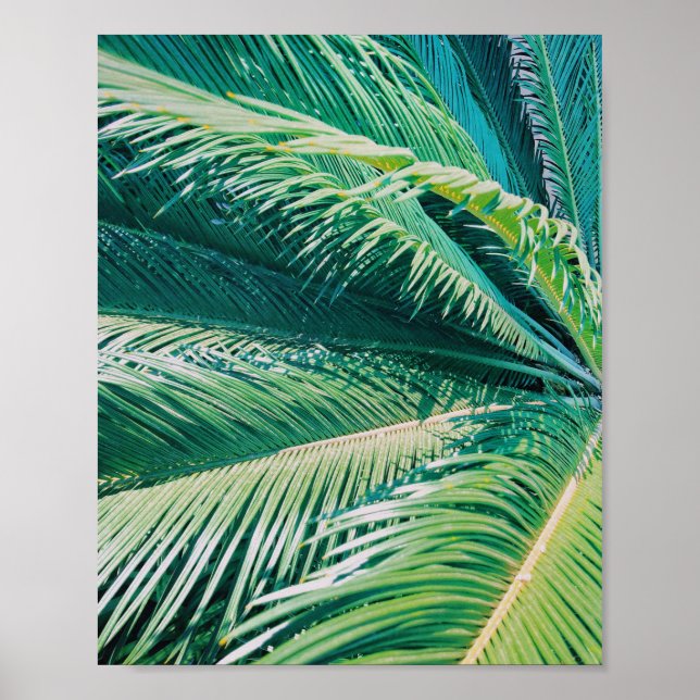 Palm Tree Tropical Beach Fotografie Print Poster (Vorne)