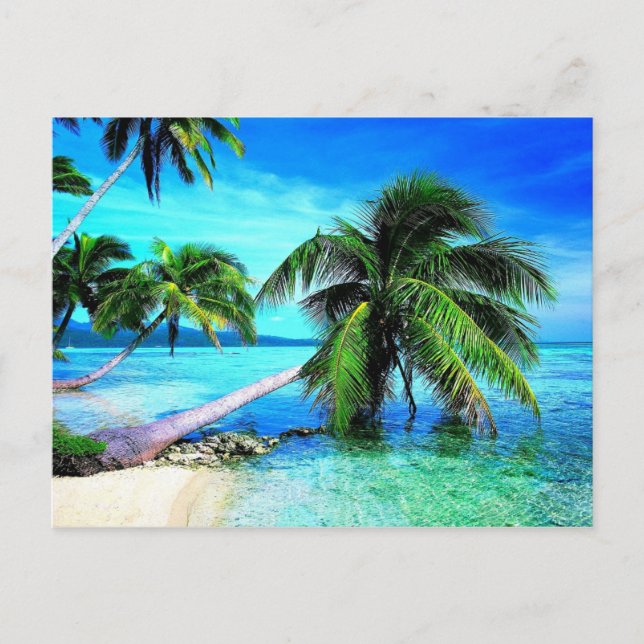Palm Tree Tropical Island Beach Postkarte (Vorderseite)