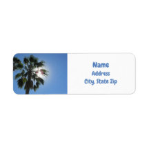Palm Tree Tropical Sunshine Island Paradise