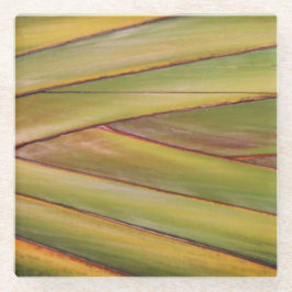 Palm Tree Untersetzer