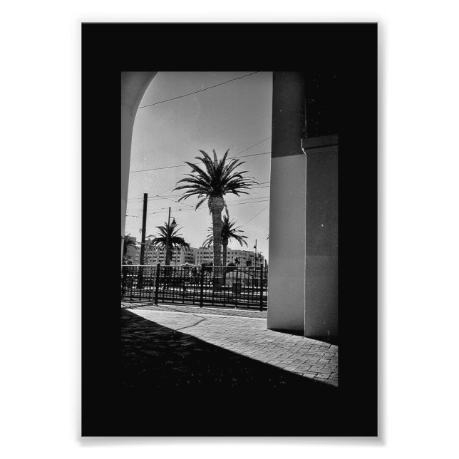 Palm Tree View Fotodruck (Vorne)