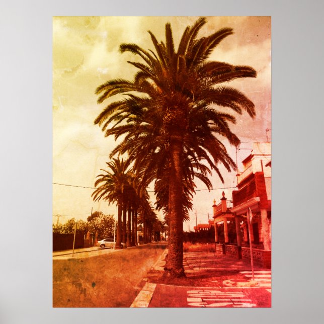 Palm Tree Vintag Style Poster (Vorne)
