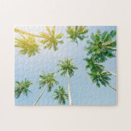 Palm Trees 
