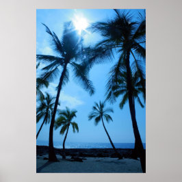 Palm Trees and Blue Skies Poster