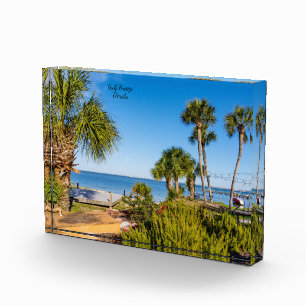 Palm Trees Bayside Morning Foto Block