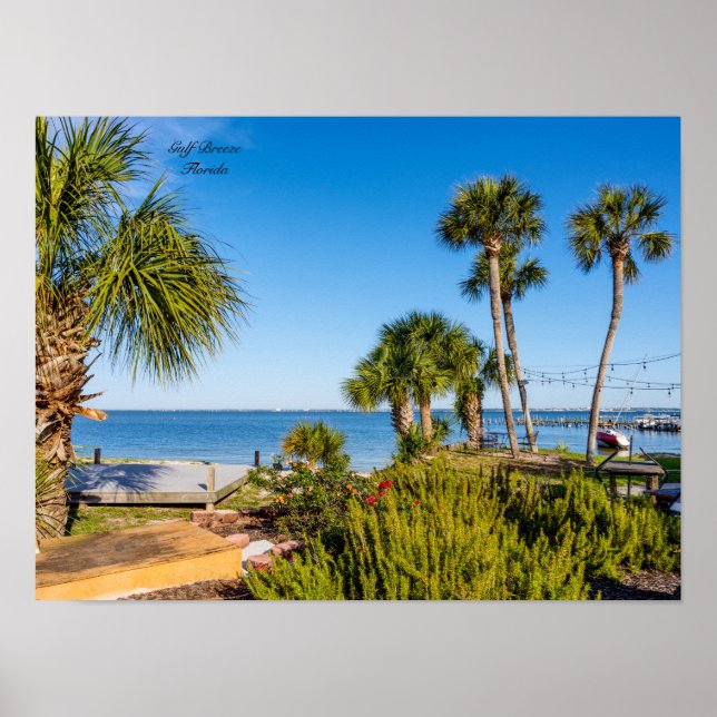 Palm Trees Bayside Morning Poster (Vorne)