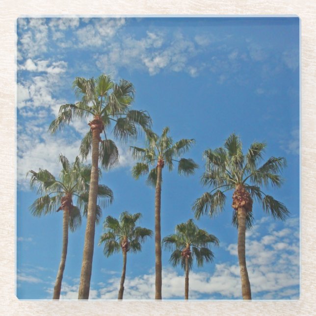 Palm Trees Brilliant Blue Sky Foto Tropical Glasuntersetzer (Vorderseite)