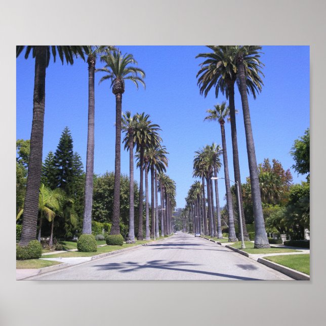 Palm Trees in Los Angeles Poster (Vorne)
