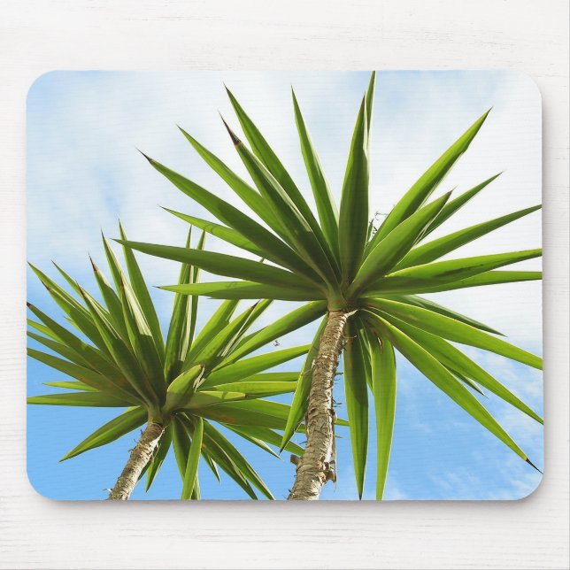 Palm Trees Mousepad (Vorne)