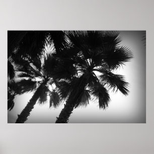 Palm Trees Poster
