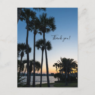 Palm Trees Sunrise Destin Florida Danke U Postcard Postkarte