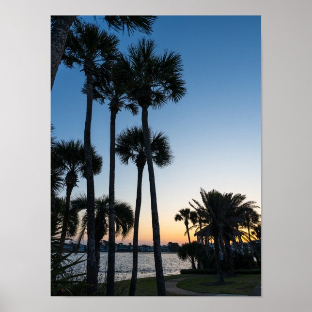 Palm Trees Sunrise Destin Florida Poster (Devant)