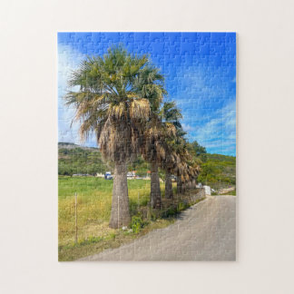 Palm Trees Zakynthos Griechenland